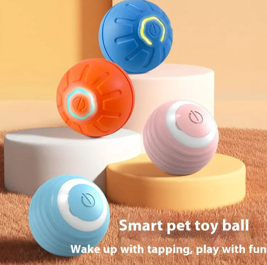 Smart dog toy