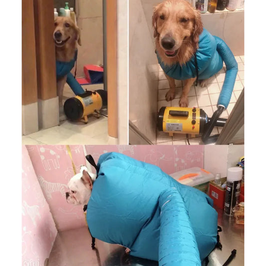 Dog hair dryer